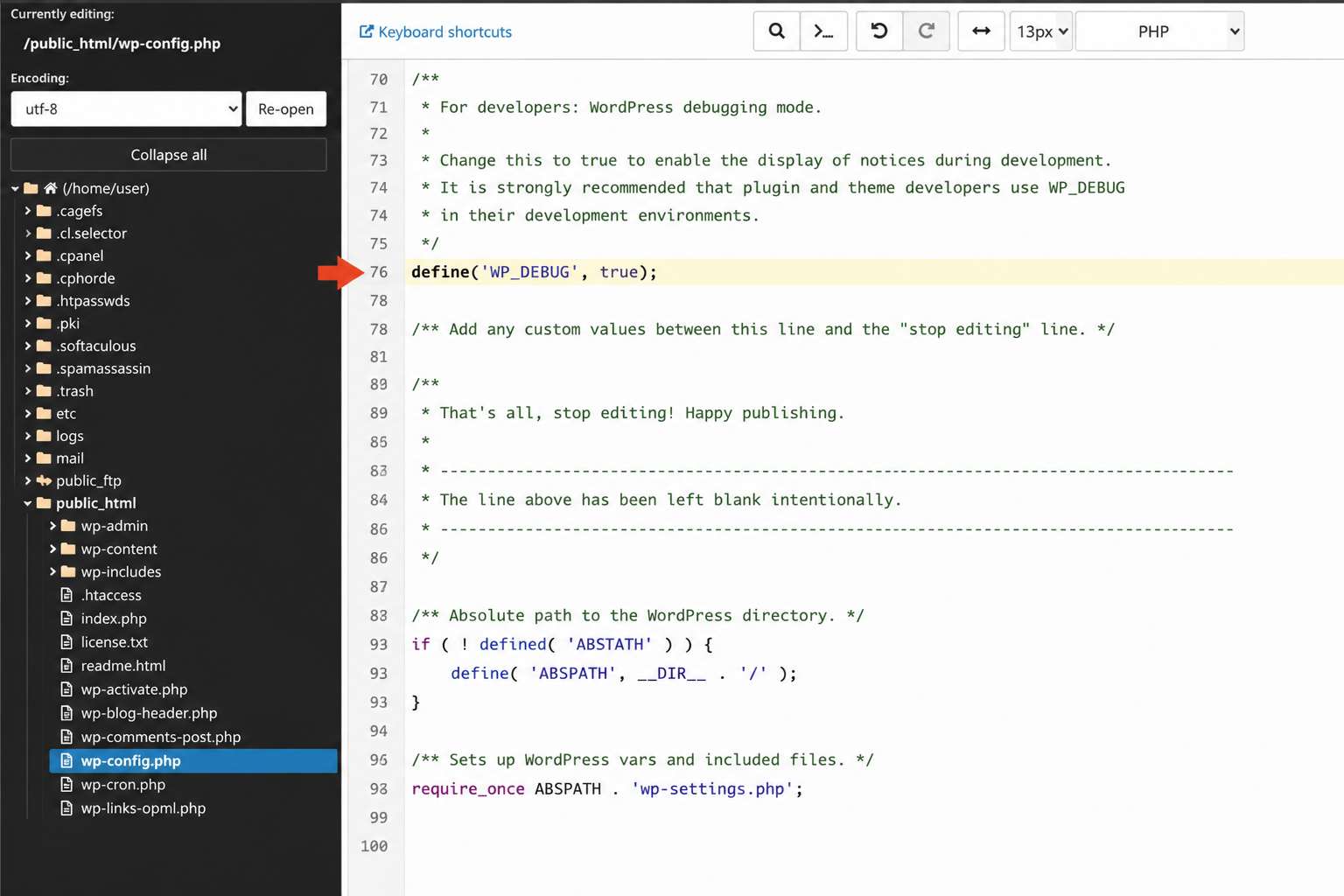קובץ wp-config.php פתוח לעריכה בשרת